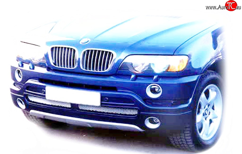 119 р. Накладка AS Concept на передний бампер BMW X5 E53 дорестайлинг (1999-2003) (Неокрашенная)  с доставкой в г. Горно‑Алтайск