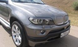 3 149 р. Реснички Storm на фары BMW X5 E53 дорестайлинг (1999-2003) (Неокрашенные)  с доставкой в г. Горно‑Алтайск. Увеличить фотографию 2