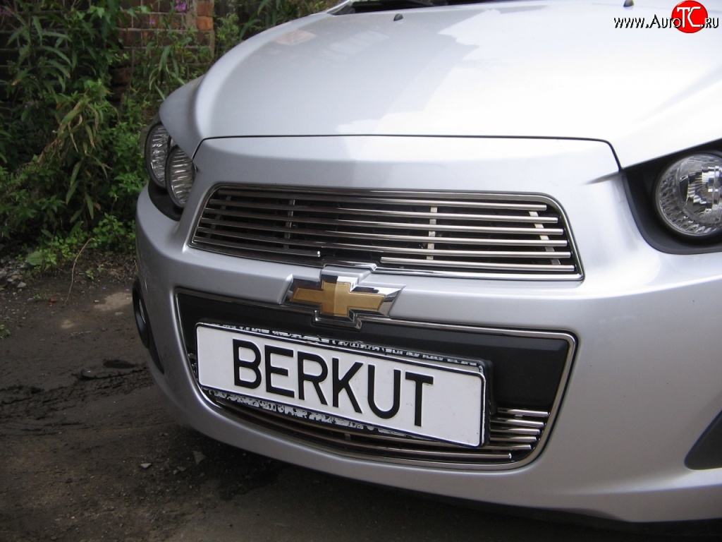 4 399 р. Декоративная вставка решетки радиатора Berkut Chevrolet Aveo T300 хэтчбек (2011-2015)  с доставкой в г. Горно‑Алтайск