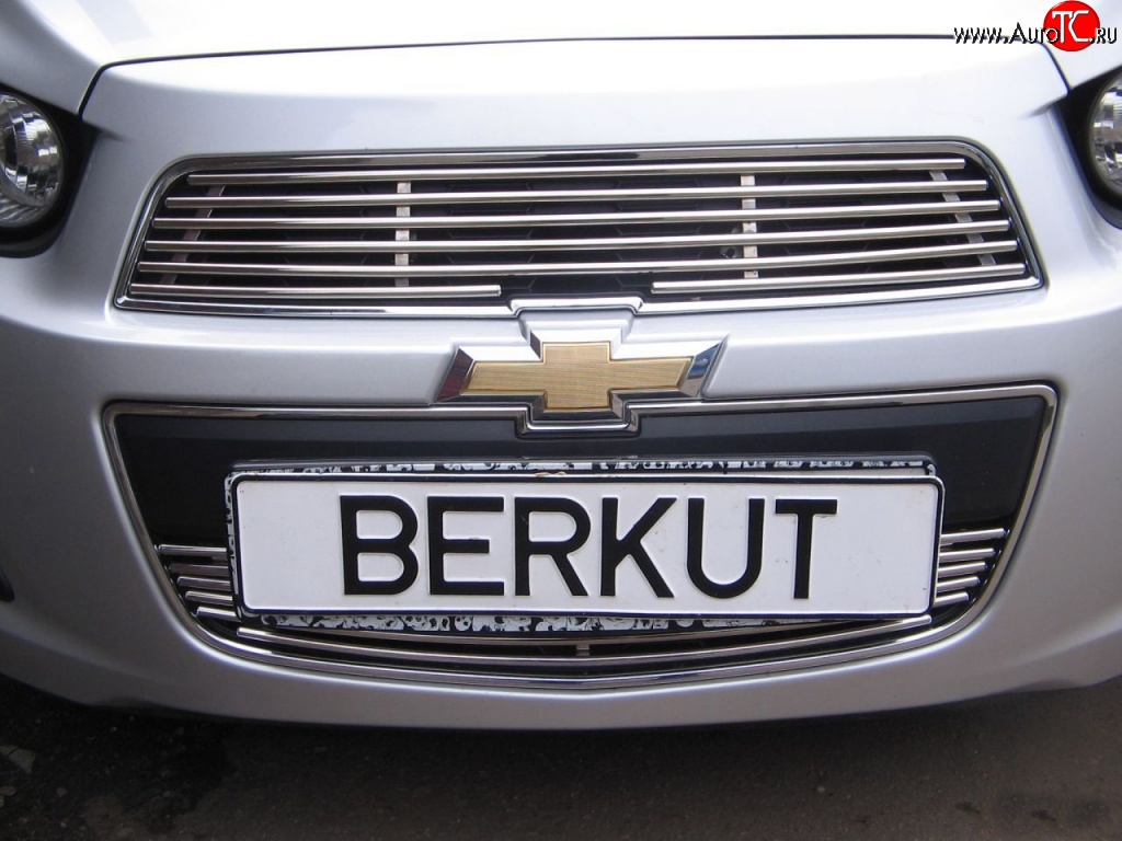 3 999 р. Декоративная вставка воздухозаборника Berkut Chevrolet Aveo T300 хэтчбек (2011-2015)  с доставкой в г. Горно‑Алтайск