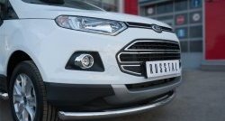 15 649 р. Одинарная защита переднего бампера диаметром 63 мм SLITKOFF  Ford EcoSport (2013-2019) дорестайлинг  с доставкой в г. Горно‑Алтайск. Увеличить фотографию 2