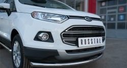 15 649 р. Одинарная защита переднего бампера диаметром 63 мм SLITKOFF  Ford EcoSport (2013-2019) дорестайлинг  с доставкой в г. Горно‑Алтайск. Увеличить фотографию 3