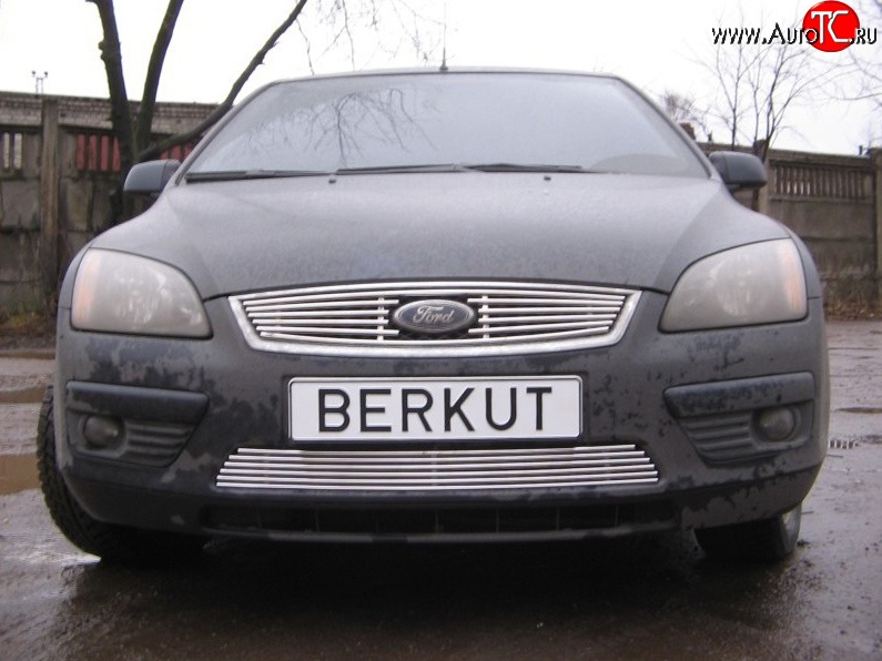 4 999 р. Декоративная вставка решетки радиатора Berkut Ford Focus 2 хэтчбэк 3 дв. дорестайлинг (2004-2007)  с доставкой в г. Горно‑Алтайск