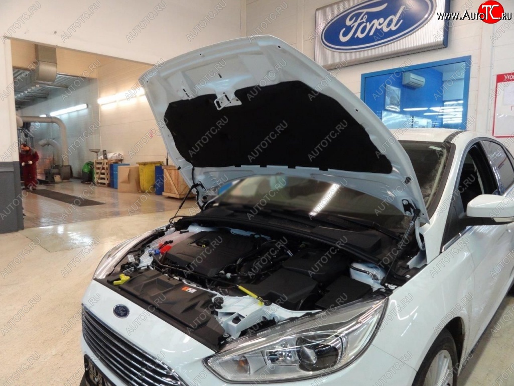 2 199 р. Газовые упоры капота Berkut Ford Focus 3 универсал дорестайлинг (2010-2015)  с доставкой в г. Горно‑Алтайск