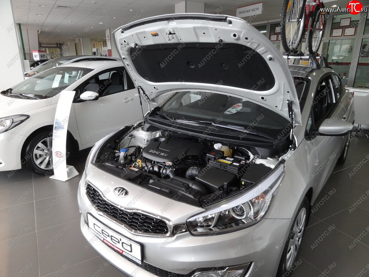 2 049 р. Упоры капота Russtal KIA Ceed 2 JD дорестайлинг универсал (2012-2016)  с доставкой в г. Горно‑Алтайск