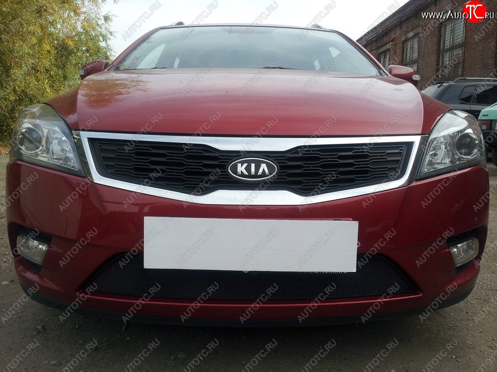 1 469 р. Защитная сетка на бампер Russtal (черная)  KIA Ceed  1 ED (2010-2012) рестайлинг универсал, рестайлинг, хэтчбэк 5 дв.  с доставкой в г. Горно‑Алтайск