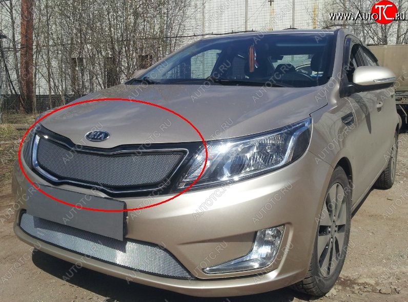 1 599 р. Сетка в решетку радиатора (к-я Premium) Russtal  KIA Rio  3 QB (2011-2015) дорестайлинг седан, дорестайлингхэтчбек5дв. (хром)  с доставкой в г. Горно‑Алтайск