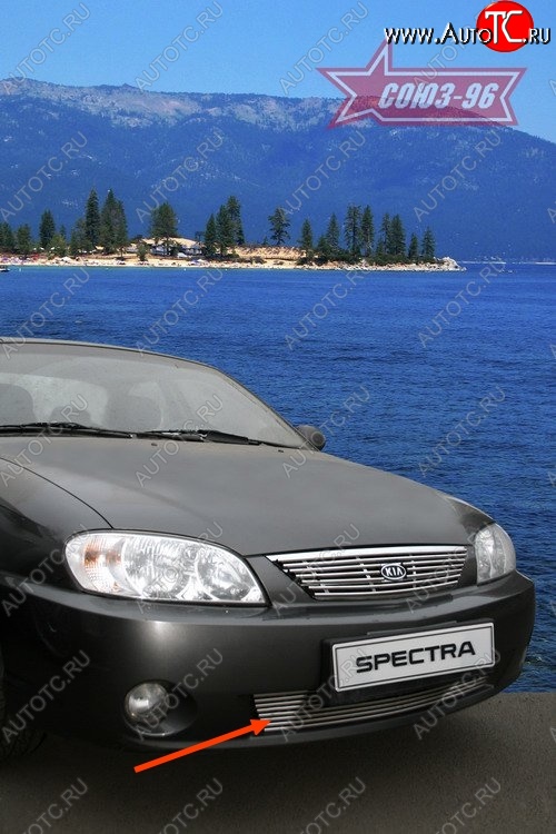 4 049 р. Декоративный элемент воздухозаборника Souz-96 (d10) KIA Spectra (2000-2009)  с доставкой в г. Горно‑Алтайск