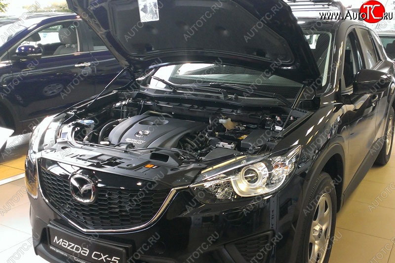 2 199 р. Газовые упоры капота Berkut Mazda CX-5 KE дорестайлинг (2011-2014)  с доставкой в г. Горно‑Алтайск