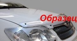 2 159 р. Защита фар CA-Plastik  Mitsubishi Pajero Sport  PB (2008-2013) дорестайлинг (Цвет: прозрачный)  с доставкой в г. Горно‑Алтайск. Увеличить фотографию 6