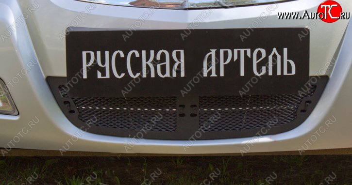 1 769 р. Защитная сетка решетки переднего бампера РА Nissan Almera Classic седан B10 (2006-2013)  с доставкой в г. Горно‑Алтайск