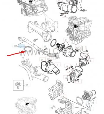 Уплотнительное кольцо маслопровода GM (дв. Z16XEP, к корпусу масляного фильтра) Opel Astra H GTC хэтчбек 3 дв. дорестайлинг (2004-2006)