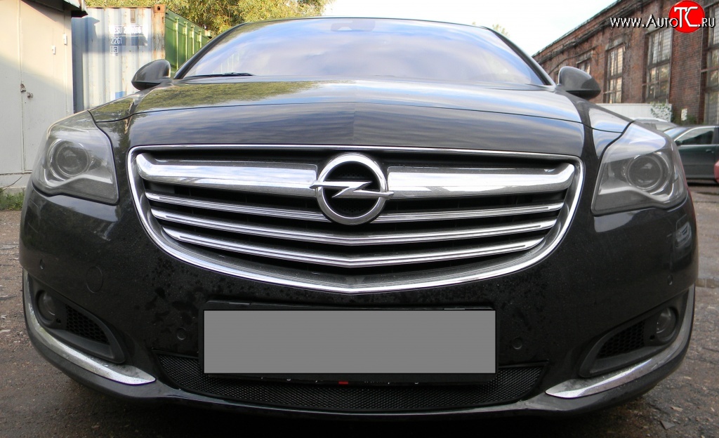 1 469 р. Сетка на бампер (рестайлинг) Russtal (черная) Opel Insignia A рестайлинг седан (2013-2017)  с доставкой в г. Горно‑Алтайск