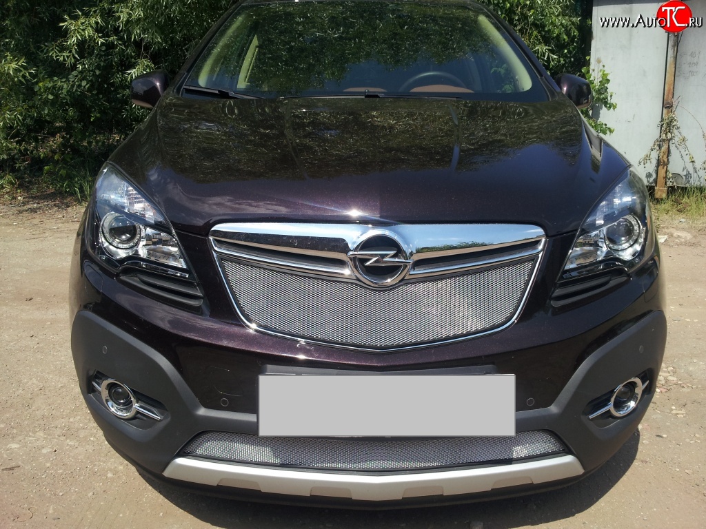 1 539 р. Сетка в решетку радиатора Russtal  Opel Mokka (2012-2016)  дорестайлинг (хром)  с доставкой в г. Горно‑Алтайск