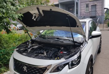 2 799 р. Упоры капота Russtal Peugeot 3008 2 (2016-2025)  с доставкой в г. Горно‑Алтайск. Увеличить фотографию 1