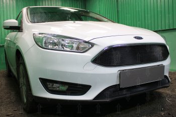 2 769 р. Защитная сетка в бампер (низ, ячейка 3х7 мм) Alfeco Стандарт Ford Focus 3 седан рестайлинг (2014-2019) (Чёрная)  с доставкой в г. Горно‑Алтайск. Увеличить фотографию 2