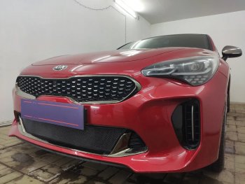 3 199 р. Защитная сетка в бампер (низ, ячейка 3х7 мм) Alfeco Стандарт  KIA Stinger (2017-2024) (Чёрная)  с доставкой в г. Горно‑Алтайск. Увеличить фотографию 4