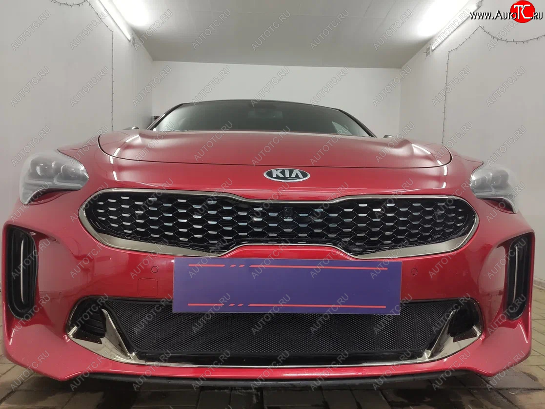 3 199 р. Защитная сетка в бампер (низ, ячейка 3х7 мм) Alfeco Стандарт  KIA Stinger (2017-2024) (Чёрная)  с доставкой в г. Горно‑Алтайск