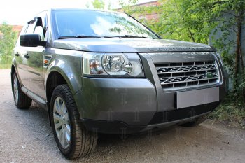 3 199 р. Защитная сетка в бампер (низ, ячейка 3х7 мм) Alfeco Стандарт  Land Rover Freelander  L359 (2006-2010) дорестайлинг (Чёрная)  с доставкой в г. Горно‑Алтайск. Увеличить фотографию 2