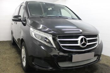 3 199 р. Защитная сетка в бампер (низ, ячейка 3х7 мм) Alfeco Стандарт  Mercedes-Benz Vito  W447 (2015-2020) дорестайлинг (Хром)  с доставкой в г. Горно‑Алтайск. Увеличить фотографию 2