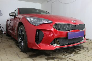 Защитная сетка в бампер (верх, ячейка 4х10 мм) Alfeco Премиум KIA Stinger (2017-2025) ()