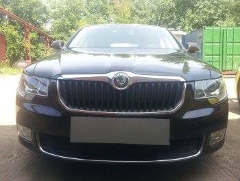 Защитная сетка в бампер (низ, ячейка 4х10 мм) Стрелка11 Премиум Skoda Superb B6 (3T5) универсал доресталийнг (2009-2013)  (Чёрная)