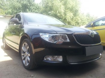 4 299 р. Защитная сетка в бампер (низ, ячейка 4х10 мм) Стрелка11 Премиум Skoda Superb B6 (3T) лифтбэк дорестайлинг (2008-2013) (Хром)  с доставкой в г. Горно‑Алтайск. Увеличить фотографию 2