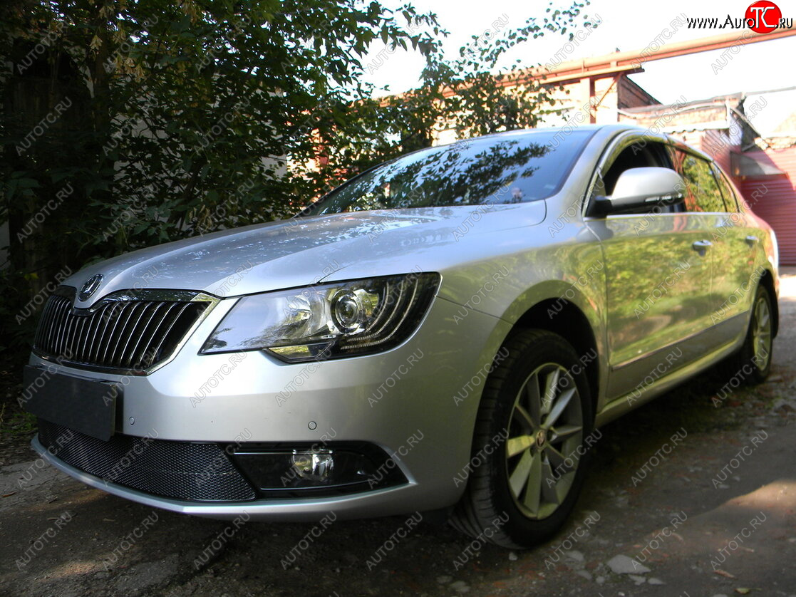 4 599 р. Защитная сетка в бампер (низ, ячейка 4х10 мм) Стрелка11 Премиум Skoda Superb (B6) 3T лифтбэк рестайлинг (2013-2015) (Чёрная)  с доставкой в г. Горно‑Алтайск