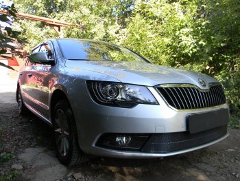 4 599 р. Защитная сетка в бампер (низ, ячейка 4х10 мм) Стрелка11 Премиум Skoda Superb (B6) 3T лифтбэк рестайлинг (2013-2015) (Чёрная)  с доставкой в г. Горно‑Алтайск. Увеличить фотографию 3