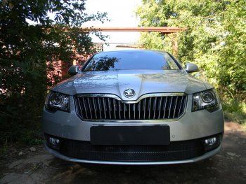 4 599 р. Защитная сетка в бампер (низ, ячейка 4х10 мм) Стрелка11 Премиум Skoda Superb (B6) 3T лифтбэк рестайлинг (2013-2015) (Чёрная)  с доставкой в г. Горно‑Алтайск. Увеличить фотографию 2