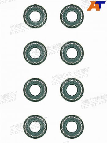 Комплект маслосъёмных колпачков  BMW 5(E34)3(E46) M43B16 VICTOR REINZ 12-26058-02