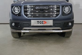 Защита переднего бампера нижняя с ДХО 60,3 мм ТСС Тюнинг Haval Dargo (2022-2024)  (нержавейка)