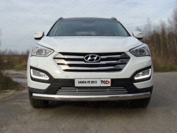 Декоративная вставка переднего бампера ТСС Тюнинг Hyundai Santa Fe DM дорестайлинг (2012-2016) ()