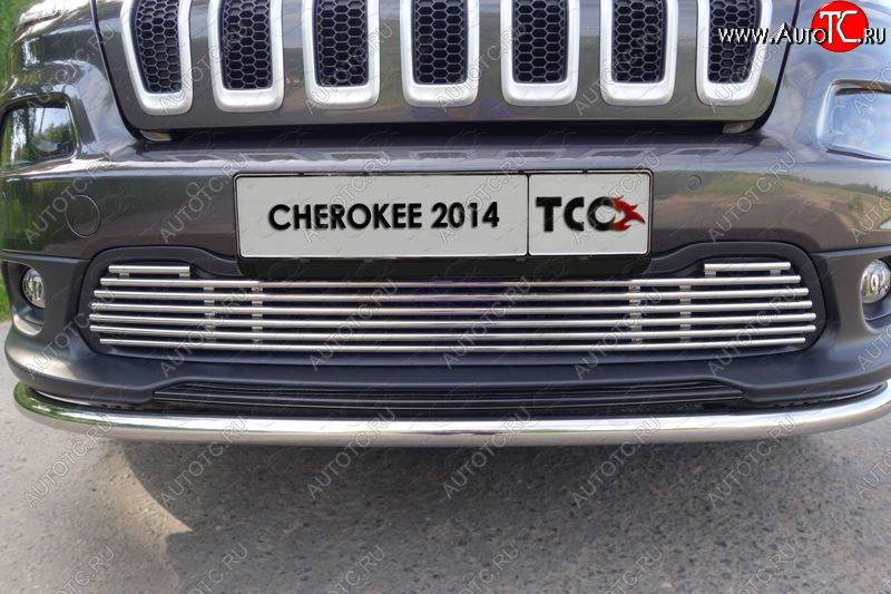 10 799 р. Декоративная вставка переднего бампера ТСС Тюнинг  Jeep Cherokee  KL (2014-2017) дорестайлинг (d 12 мм)  с доставкой в г. Горно‑Алтайск