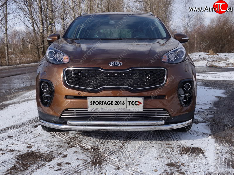 6 099 р. Декоративная вставка переднего бампера ТСС Тюнинг  KIA Sportage  4 QL (2016-2018) дорестайлинг (d 12 мм)  с доставкой в г. Горно‑Алтайск