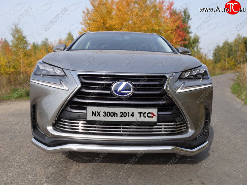 7 699 р. Декоративная вставка переднего бампера (кроме F-Sport) ТСС Тюнинг  Lexus NX300h  Z10 (2014-2017) дорестайлинг (d 12 мм)  с доставкой в г. Горно‑Алтайск