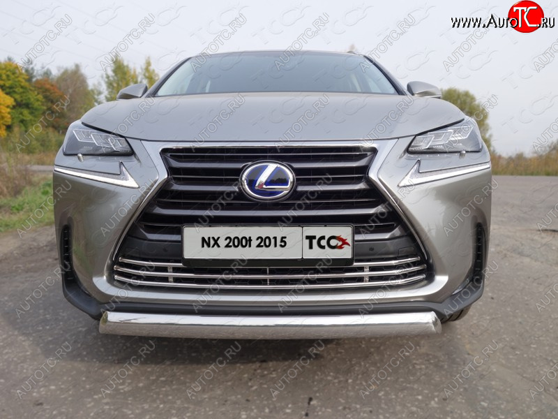 9 349 р. Декоративная вставка переднего бампера (кроме F-Sport) ТСС Тюнинг  Lexus NX200T  Z10 (2014-2017) (d 16 мм)  с доставкой в г. Горно‑Алтайск