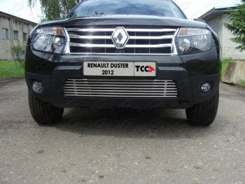 Декоративная вставка переднего бампера ТСС Тюнинг Renault (Рено) Duster (Дастер)  HS (2010-2015) HS дорестайлинг ()