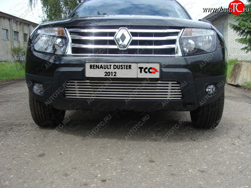 7 699 р. Декоративная вставка переднего бампера ТСС Тюнинг  Renault Duster  HS (2010-2015) дорестайлинг (d 12 мм)  с доставкой в г. Горно‑Алтайск