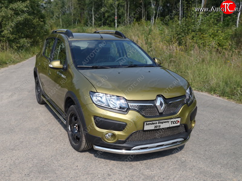 14 999 р. Защита переднего бампера нижняя d60,3 мм ТСС Тюнинг  Renault Sandero Stepway  (B8) (2014-2018) дорестайлинг (нержавейка)  с доставкой в г. Горно‑Алтайск