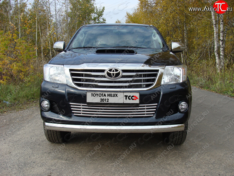 12 299 р. Декоративная вставка переднего бампера ТСС Тюнинг  Toyota Hilux  AN20,AN30 (2011-2016)  2-ой рестайлинг (d 16 мм)  с доставкой в г. Горно‑Алтайск