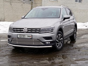 Защита переднего бампера нижняя d60,3 мм ТСС Тюнинг Volkswagen (Волксваген) Tiguan (Тигуан)  Mk2 (2016-2020) Mk2 дорестайлинг  (нержавейка)