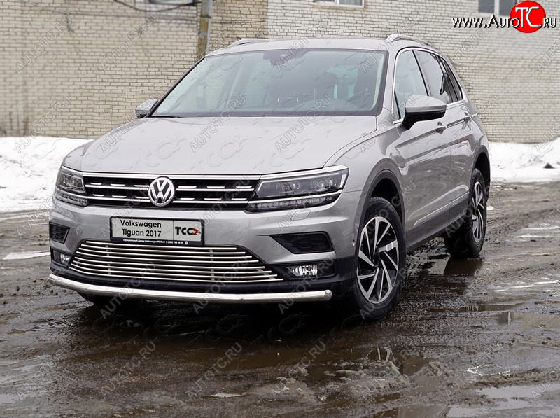 18 999 р. Защита переднего бампера нижняя d60,3 мм ТСС Тюнинг  Volkswagen Tiguan  Mk2 (2016-2020) дорестайлинг (нержавейка)  с доставкой в г. Горно‑Алтайск