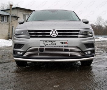 Верхняя декоративная вставка решетки радиатора ТСС Тюнинг Volkswagen Tiguan Mk2 дорестайлинг (2016-2020) ()