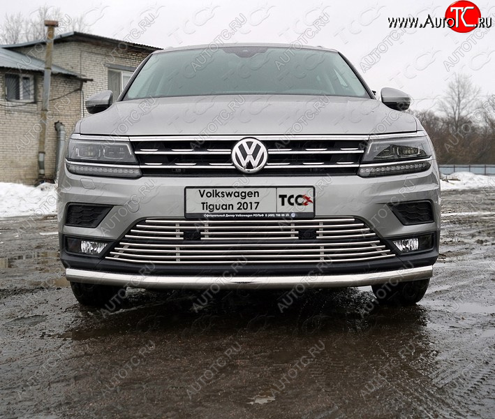 6 499 р. Верхняя декоративная вставка решетки радиатора ТСС Тюнинг Volkswagen Tiguan Mk2 дорестайлинг (2016-2020) (d 12 мм)  с доставкой в г. Горно‑Алтайск