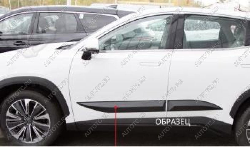 1 489 р. Молдинг двери передний правый Русская Артель  KIA Soul  PS (2017-2019) рестайлинг (шагрень)  с доставкой в г. Горно‑Алтайск
