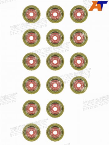 Комплект маслосъёмных колпачков BMW X5(E70) X6(E71) 5(F10)  N57D30B VICTOR REINZ 12-37281-01