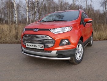 Защита переднего бампера нижняя d60,3 мм ТСС Тюнинг Ford EcoSport дорестайлинг (2013-2019) ()