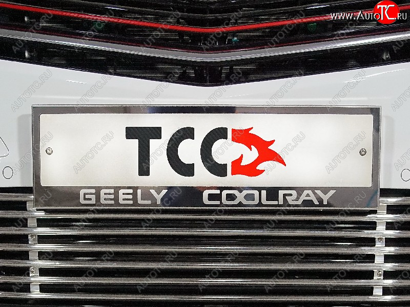 4 999 р. Рамка гос. номера ТСС Тюнинг  Geely Coolray  SX11 (2018-2023) дорестайлинг (нержавейка)  с доставкой в г. Горно‑Алтайск