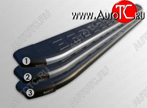 1 000 000 р.  Пороги алюминивые с пластиковой накладкой ТСС Тюнинг  Chevrolet Captiva (2011-2013) 1-ый рестайлинг (Карбон серебро)  с доставкой в г. Горно‑Алтайск